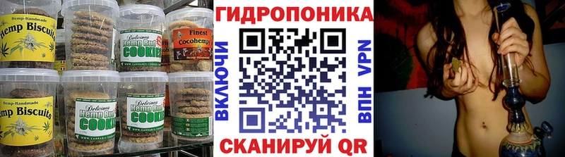 Canna-Cookies марихуана  мега ссылки  Правдинск 