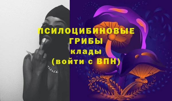 мет Аркадак