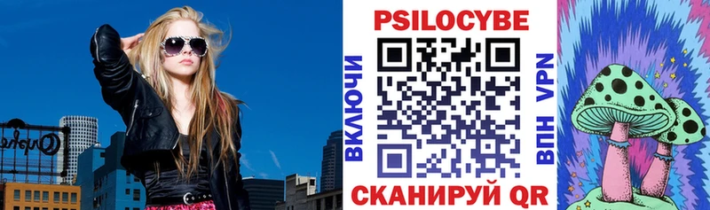 Галлюциногенные грибы Magic Shrooms Правдинск