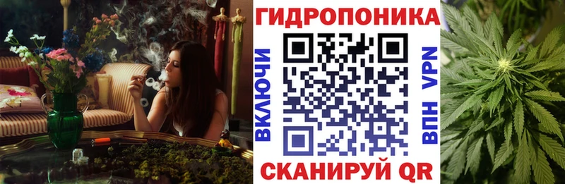 Конопля Amnesia Правдинск